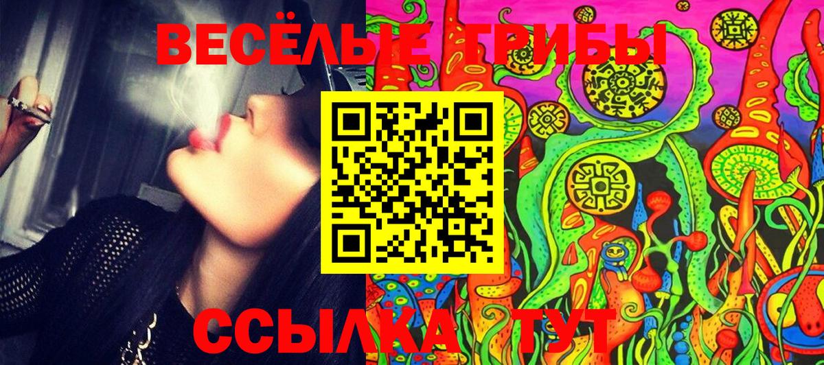 Городец  Псилоцибиновые грибы прущие грибы  Галлюциногенные грибы Psilocybe  Вход с VPN 