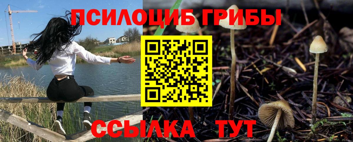 Галлюциногенные грибы мицелий Городец